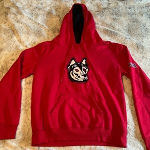 vintage northeastern hoodie